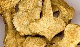 白术最新技能爆料图片,神秘力量觉醒，战力再升级！