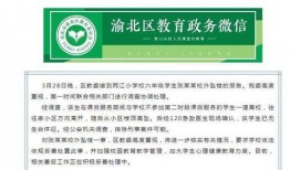 重庆小学爆料案件最新情况,真相逐步浮出水面